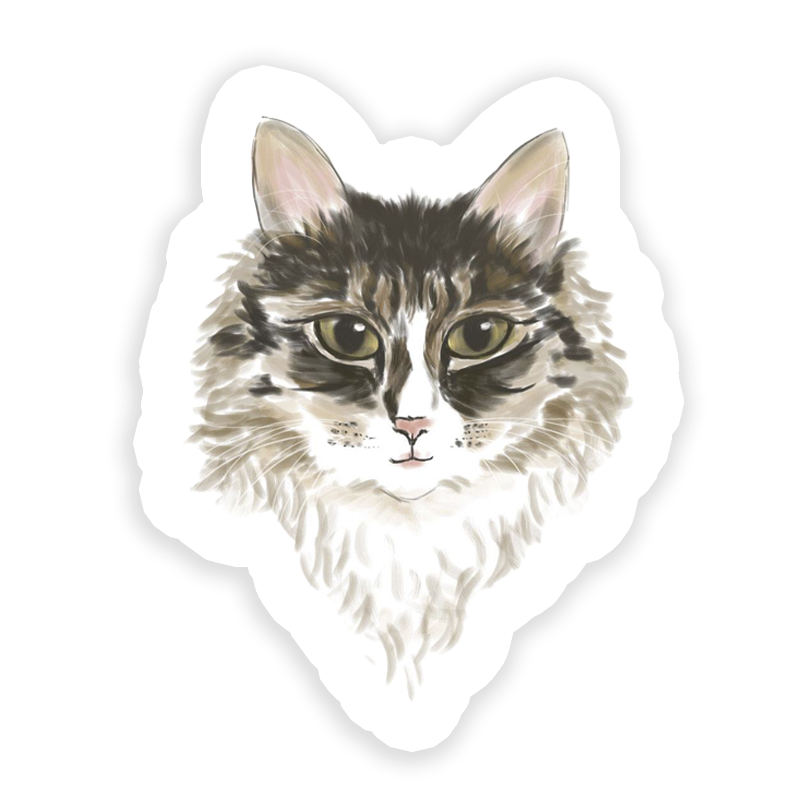 A magnet with an illustration of a cat's face, predominantly gray and white, set against a solid background.