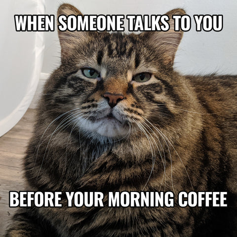 A sticker with an image of a grumpy cat and the text 'WHEN SOMEONE TALKS TO YOU BEFORE YOUR MORNING COFFEE'.
