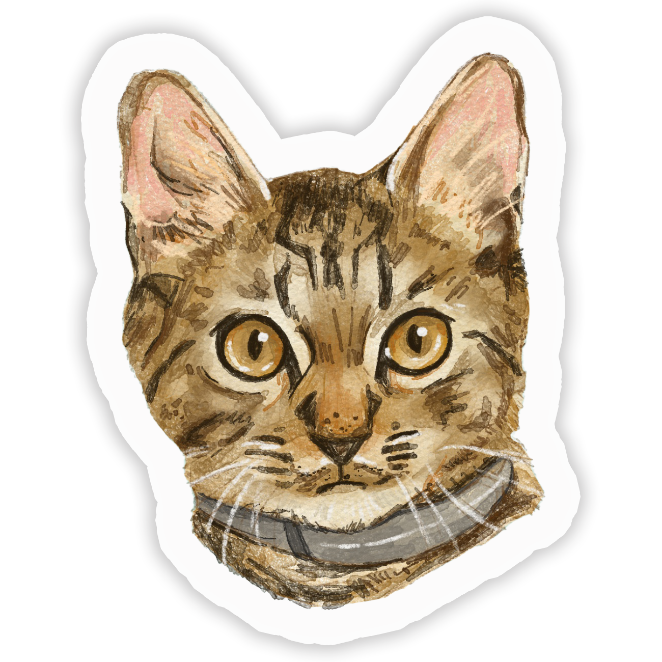A sticker depicting a brown tabby cat with a collar.