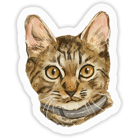 A sticker depicting a brown tabby cat with a collar.