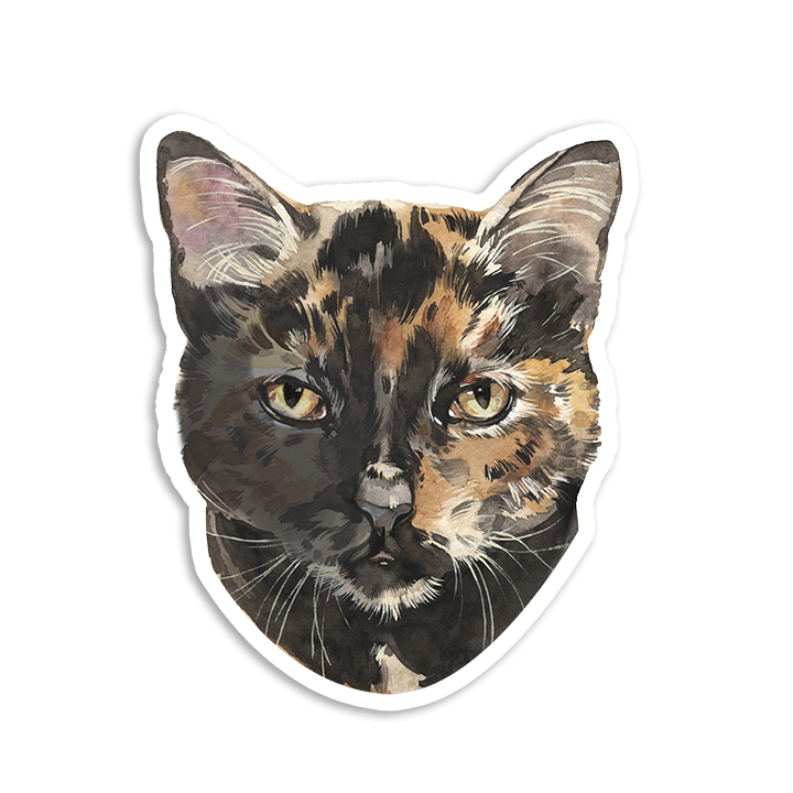 A sticker featuring a tortie cat