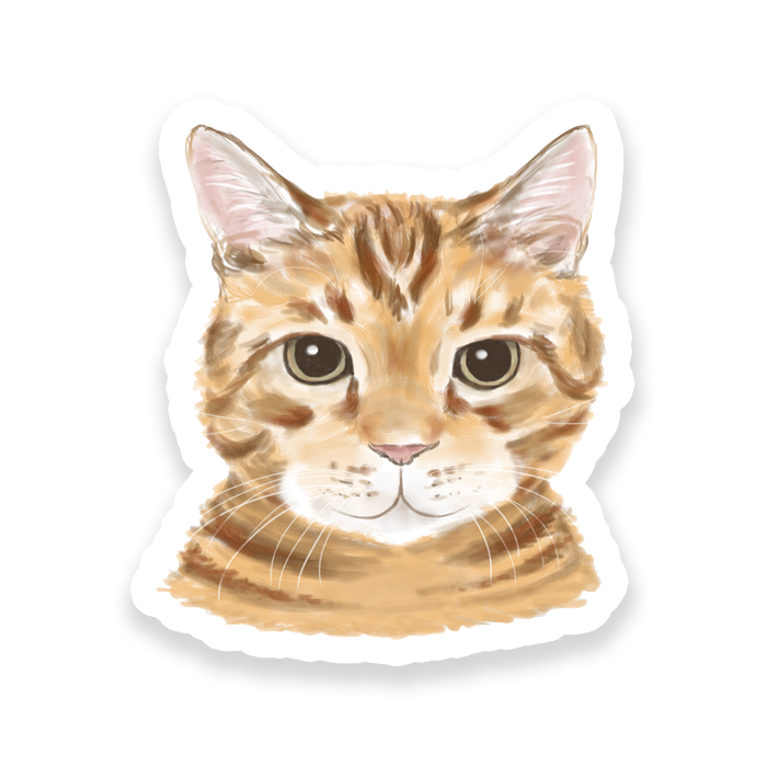 A sticker depicting a cartoon image of a beige cat with a smile.