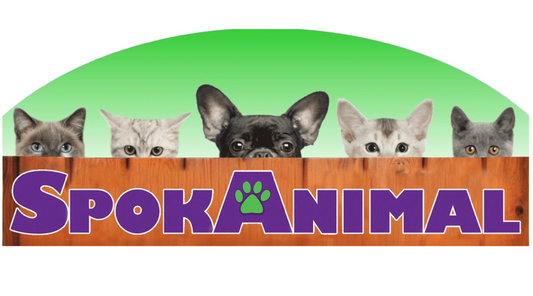 The SpokAnimal logo: three cats and a French bulldog peeking over an orange fence above the name in purple lettering with a green paw print.