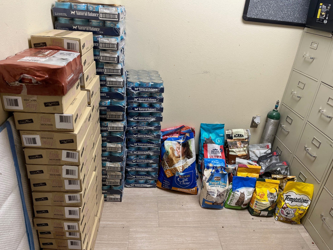 AWS Freeman-Fritts Animal Shelter & Clinic Double Impact Event