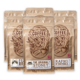 Six individual pouches of coffee sampler, each labeled with the Kitty Town Coffee brand and the name of the coffee blend, along with an illustration of a cat on each packet.