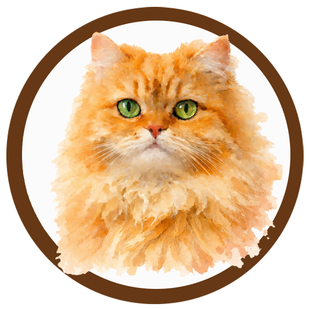 Orange cat with green eyes inside a brown circle on a white background