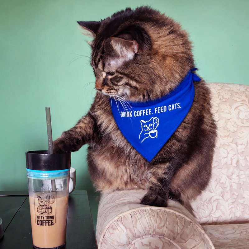 Kitty Town Blue Cat Bandana