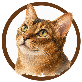 Illustration of Cody