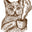 logo of Kitty Town Coffee