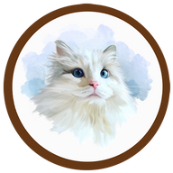 Illustration of Momo