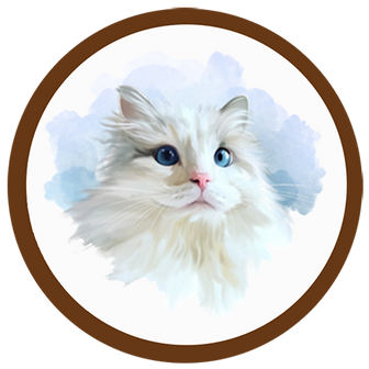 Illustration of Momo