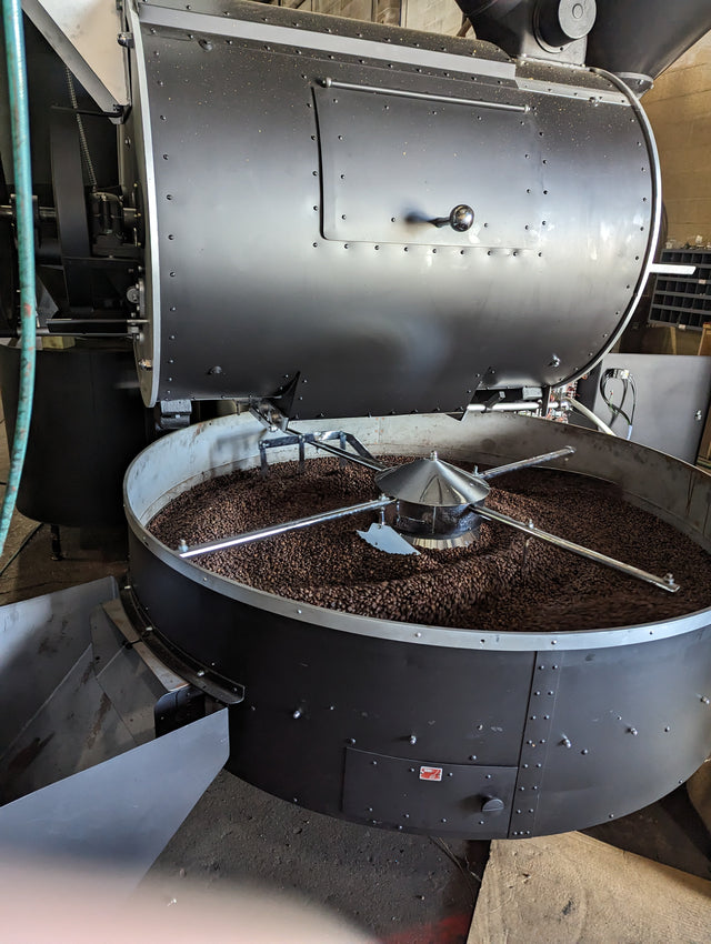 Coffee beans cooling in the tray of the Gothot roaster