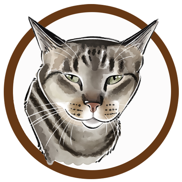A gray tabby cat with a circular background