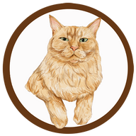 Illustration of Sonnet