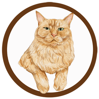 Illustration of Sonnet