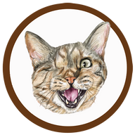 Illustration of Winks