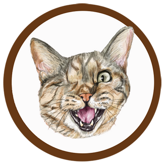 Illustration of Winks