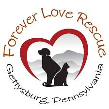 Logo for Forever Love Cat Rescue