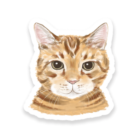 A sticker depicting a cartoon image of a beige cat with a smile.